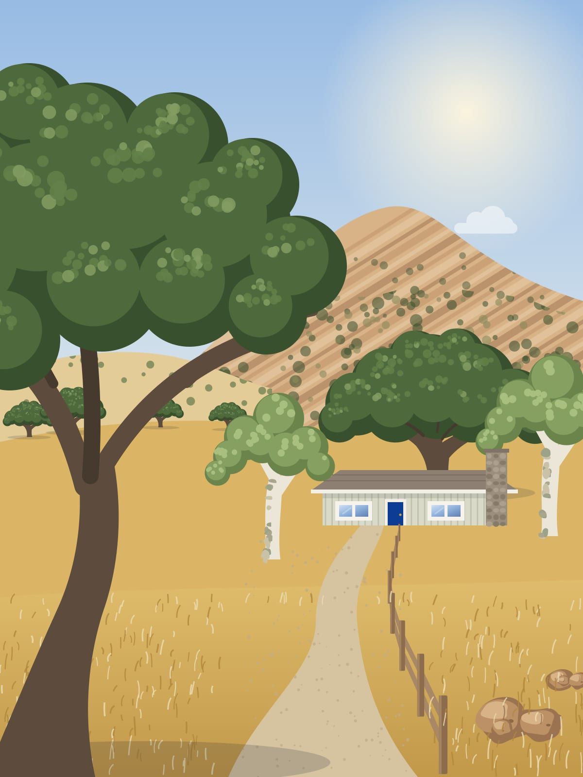 Illustration of a small ranch house under oaks in a golden canyon, with a gravel lane, a rail fence and a sandstone peak